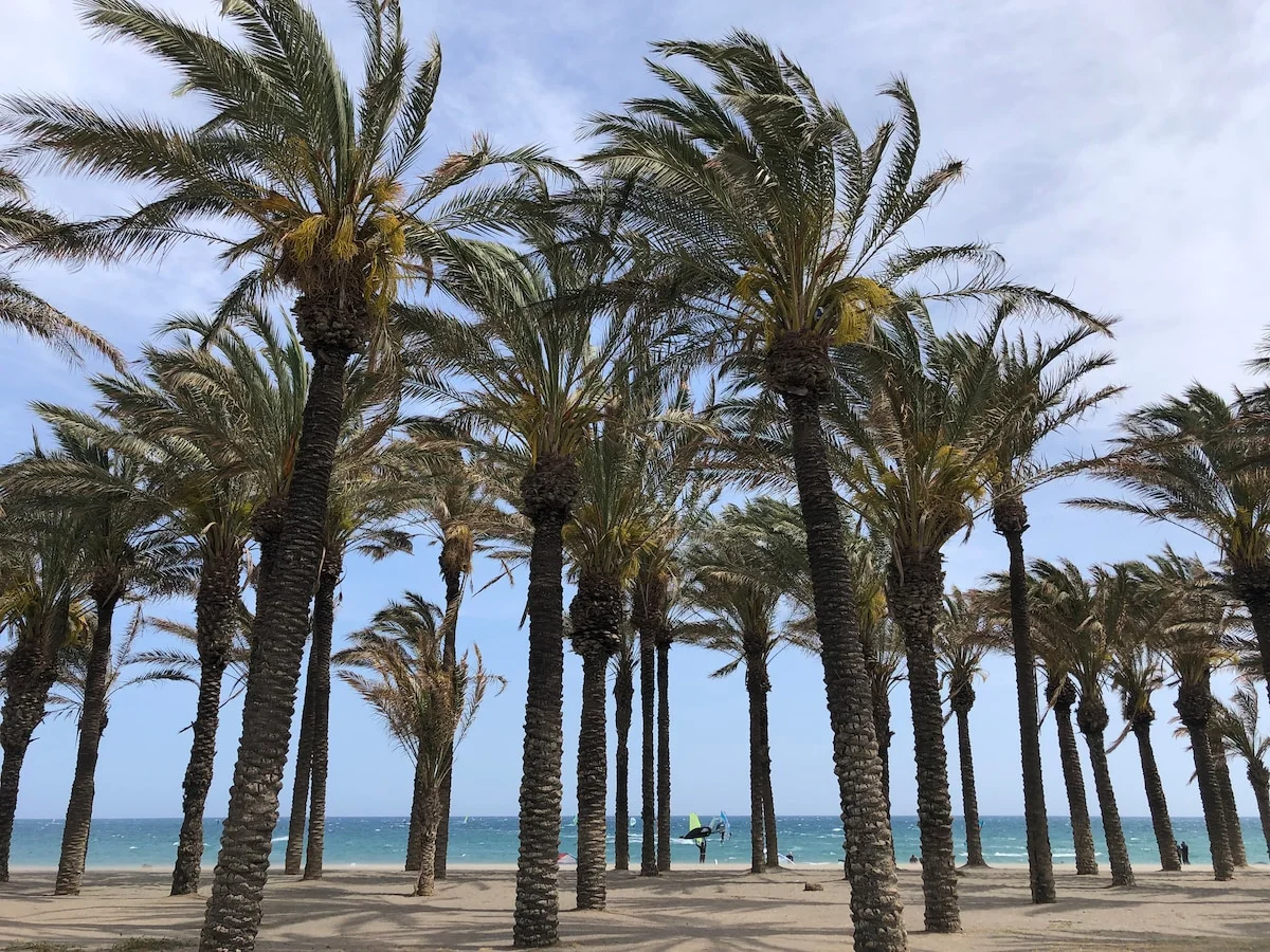 Super appartement bord de mer